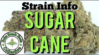 Sugar Cane Cannabis Strain By In House Genetics & From BC Bud Supply Online Dispensary.