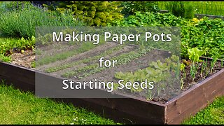 Paper Pots for Seed Starting