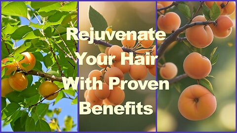Revitalize Your Hair Naturally: Experience The Transformative Benefits Of Apricot Oil