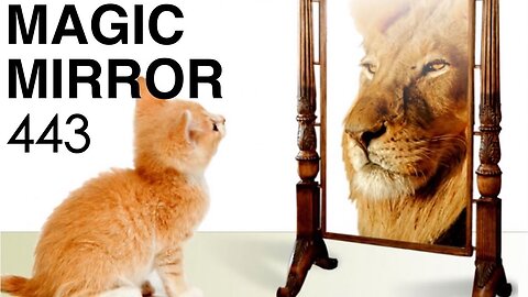 Magic Mirror 443 - Stop Making Sense