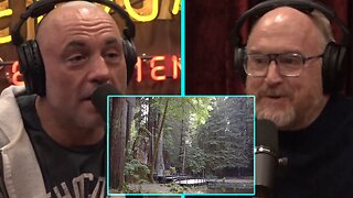 Louis CK on JRE - Bohemian Grove & Sandy Hook