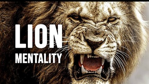 Learn from the mentality of a lion!