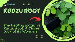 Exploring Kudzu Root: A Natural Remedy for Addiction