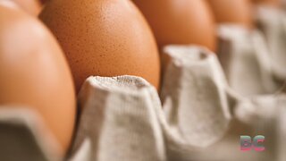Wholesale egg prices have ‘collapsed.’ Why consumers may soon see relief