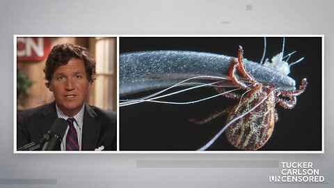🔴 Uncensored: Was Lyme Disease Created as a Bioweapon? | The True Origins of Lyme Disease