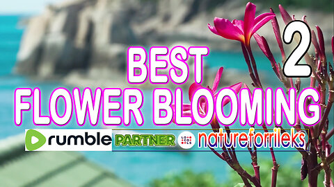 Best Flower Blooming Part-2