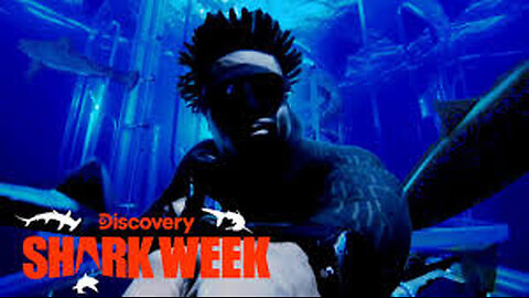 Diving Into Pitch Black Water with Sharks Shark Week