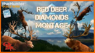 Red Deer Diamonds Montage 18 Trophies - Console - theHunter: Call of the Wild