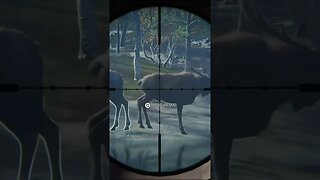 300+ 💎 Diamond Moose - theHunter: Call of the Wild #shorts