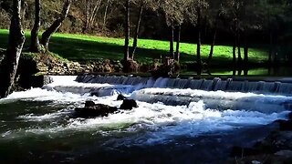 Beautiful Riverview and relaxing sound