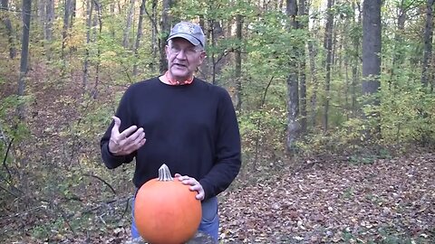 Pumpkin Killing Methods III