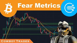 Bitcoin: Fear & Greed Metrics