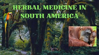 Herbal Medicine in South America