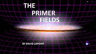 THE PRIMER FIELDS