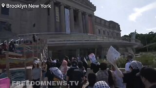 Pro-Palestine protesters have stormed into the Brooklyn Museum, occupying the building.