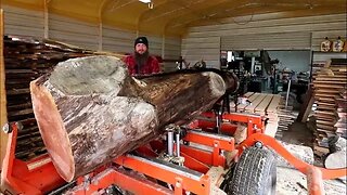 Curly Black Gold! Best Log I Have Ever Had On The Sawmill,