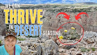 Bible Study: How to Thrive in Desert Seasons, Part 1