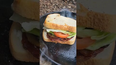 A bacon sandwich next to a pristine Lake in the wilderness. #asmr #outdoorcooking #bacon #food