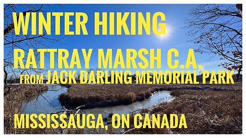 Rattray Marsh C.A. | Boardwalk Lover’s Favourite Place | Mississauga, ON 🇨🇦| Hiking | Relive | 4K