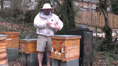 OUR BEES NEED FEEDING IN JANUARY !!?!?!?!?