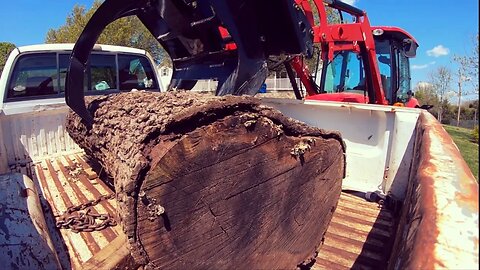A Special Log Showed Up In A Truck Bed At The Sawmill