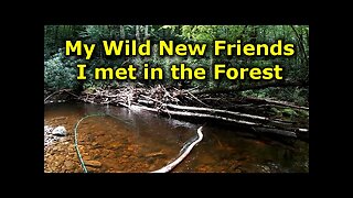 Prospecting New Water | Wild Trout Fly Fishing