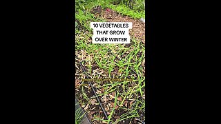 10 vegetables that grow over winter