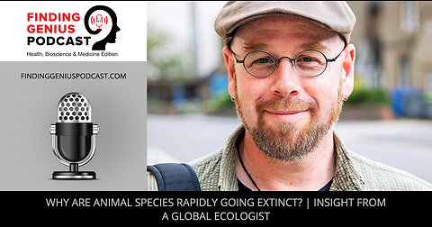Why Are Animal Species Rapidly Going Extinct? | Insight From A Global Ecologist