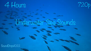 Get Some Rest To 4 Hours Of Underwater Sea Sounds