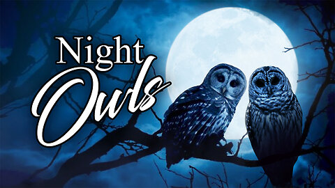 Night Owls - Friday, May 31
