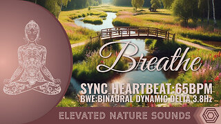 Breathe and Sync Heartbeat to 65bpm Binaural Delta 3.8hz Elevated 174Hz Pure Tone Sleeping Relaxing