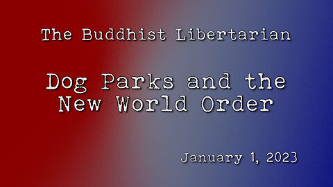 DOG PARKS AND THE NEW WORLD ORDER (AN AWAKE PERSON READS THE FAKE NEWS)