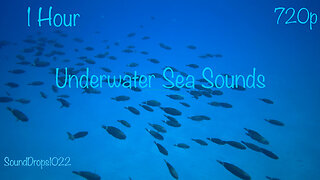 Rest With 1 Hour Of Underwater Sea Sounds