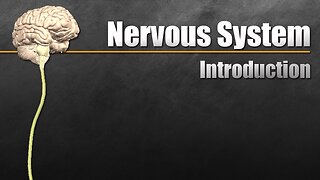 The Nervous System In 9 Minutes!