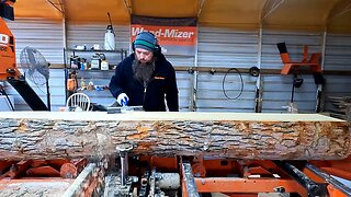 Sawing Up A Root Beer Tree On The Sawmill, Beautiful Boards