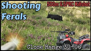 Close & Long Range Hunting | Feral Pigs / Hogs, Goats & Foxes | 6BR, 6.5PRC & 30-06 | HIK Micro TQ50