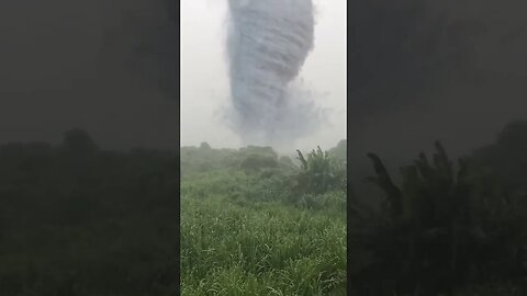 Tropical Tornado