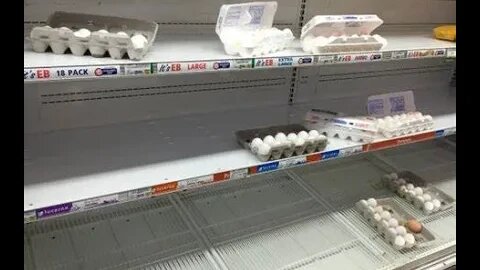 The Great Egg Shortage - The Hunt for Fresh Eggs. This Shortage is Real and Serious!!!