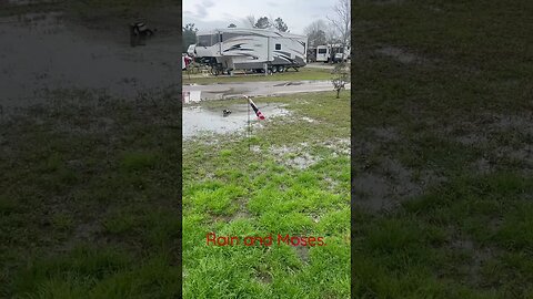 Campground flooded -we need a boat #shorts #rv #campgroundflooded #flooded