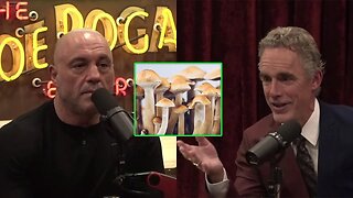 Jordan Peterson on Psychedelic Experiences and Love