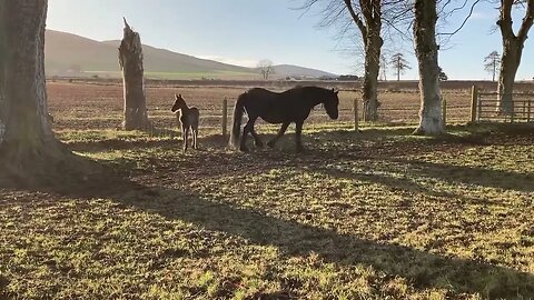 First day outside stretching her legs