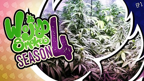 S4E1 Heavy Defoliation | A Beginner's Guide to Growing Marijuana Plants Indoors