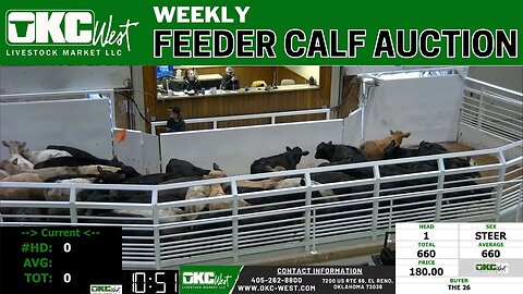 2/1/2022 - OKC West Feeder Calf Auction