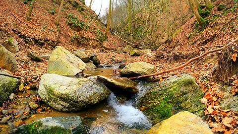 Flowing Water in a Stream