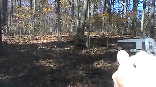 1911 Wild Boar Shooting