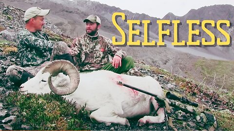 SELFLESS | Alaska Dall sheep, grizzly bear, caribou hunting, Brooks Range, MDMM Season 7