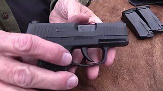 SIG P365