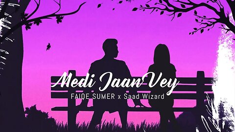 Medi Jaan Vey: FAIQE SUMER x Saad Wizard | feat. Saad Wizard - (Official Audio)