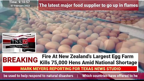 Fire At New Zealand's Largest Egg Farm Kills 75,000 Hens Amid National Shortage