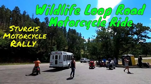 Wildlife Loop Road Motorcycle Ride Sturgis Motorcycle Rally